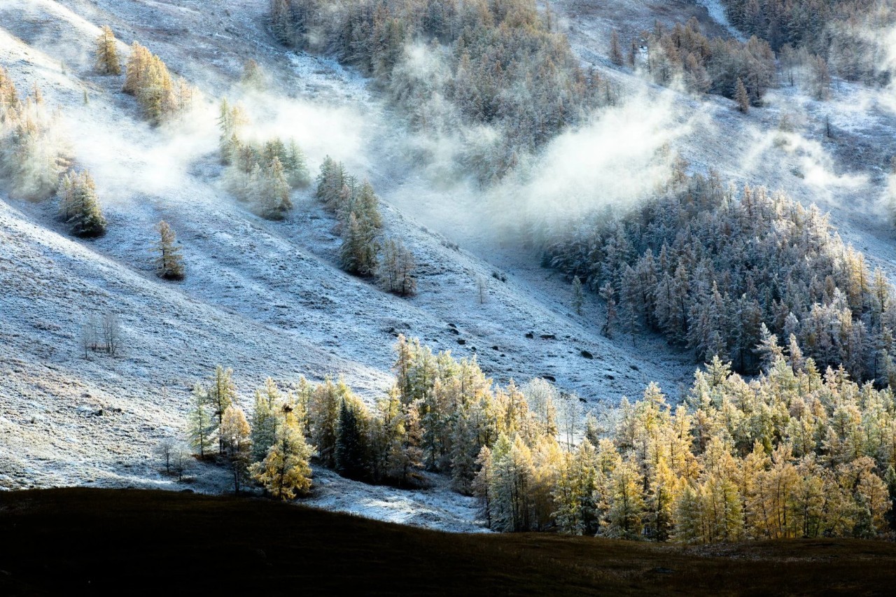 丝路明珠,新疆多元文化的历史长河