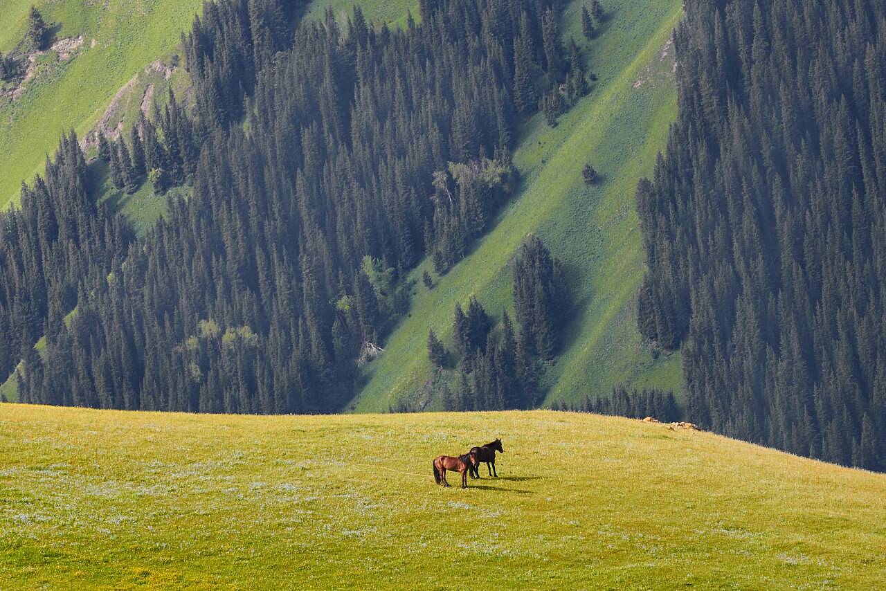丝路明珠,新疆多元文化的历史长河