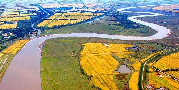 探秘盘锦小巷的独特风味