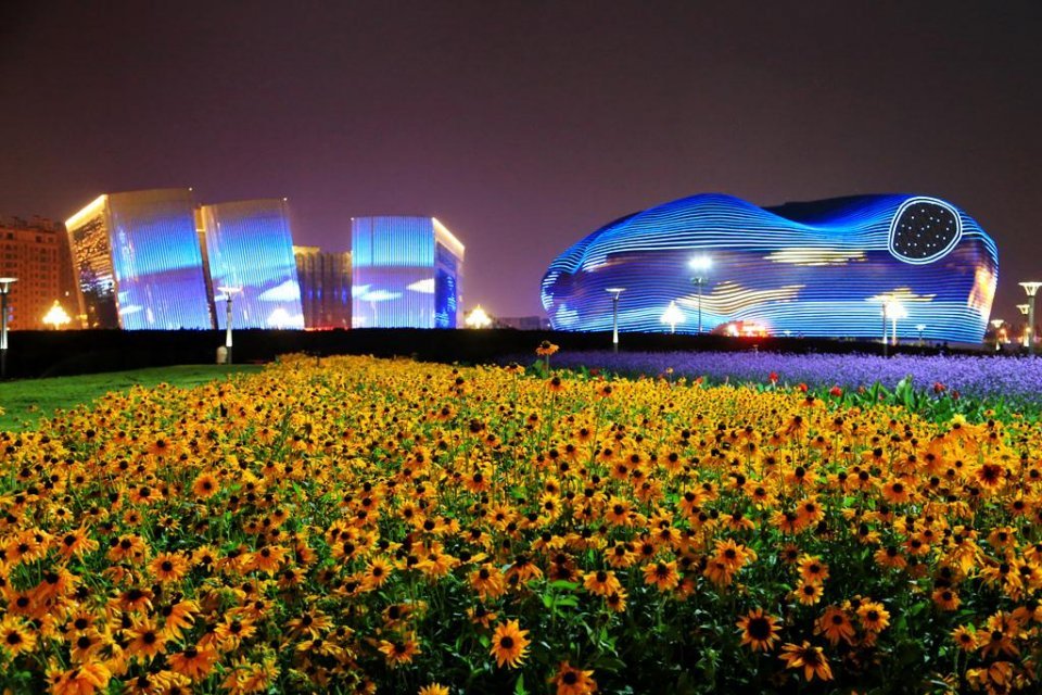 鄂尔多斯印象，绿意盎然，自然风光🌿🏞️